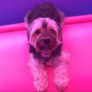 Meet your Posher, Kathy